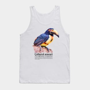 Collared Aracari tropical bird black text Tank Top